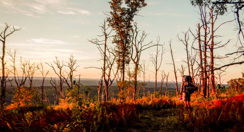 A person wearing a backpack stands in a wooded area void of leaves. 